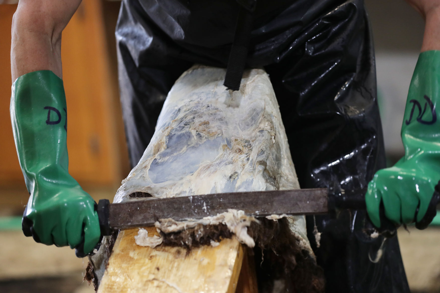 Driftless Traditional Tannery